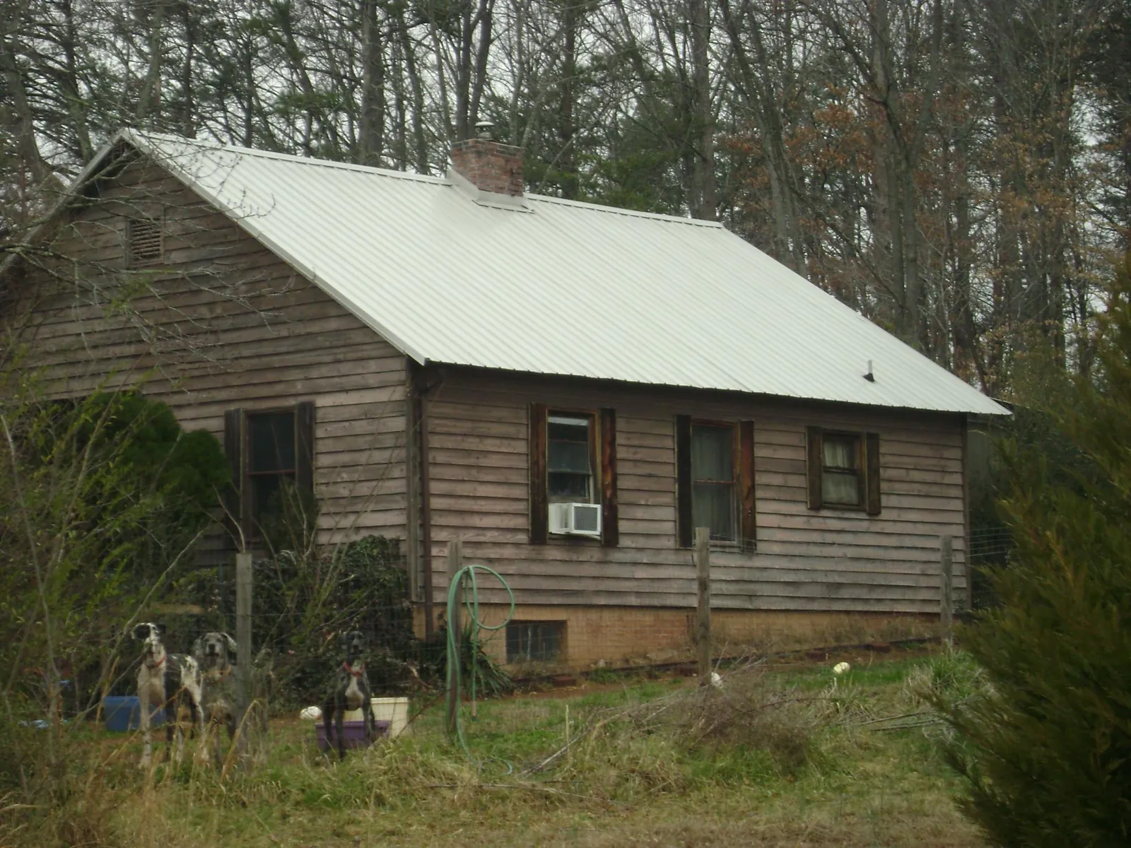 White metal roof on an old wood sided farmhouse, from a Asphalt Shingle Roof Repair job in Smithville Flats